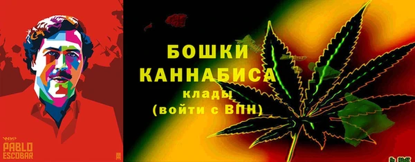 гидра Белокуриха