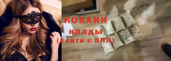 прущие грибы Кодинск