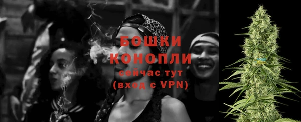 гидра Белокуриха