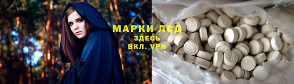 прущие грибы Кодинск