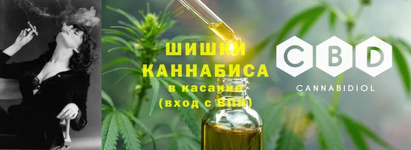 стаф Козельск