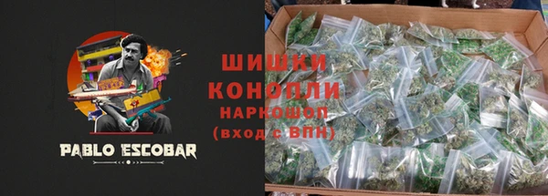гидра Белокуриха