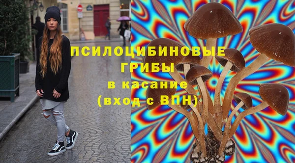 прущий лед Козловка