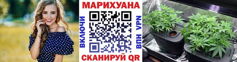 Шишки марихуана MAZAR  Купить где  Арамиль 